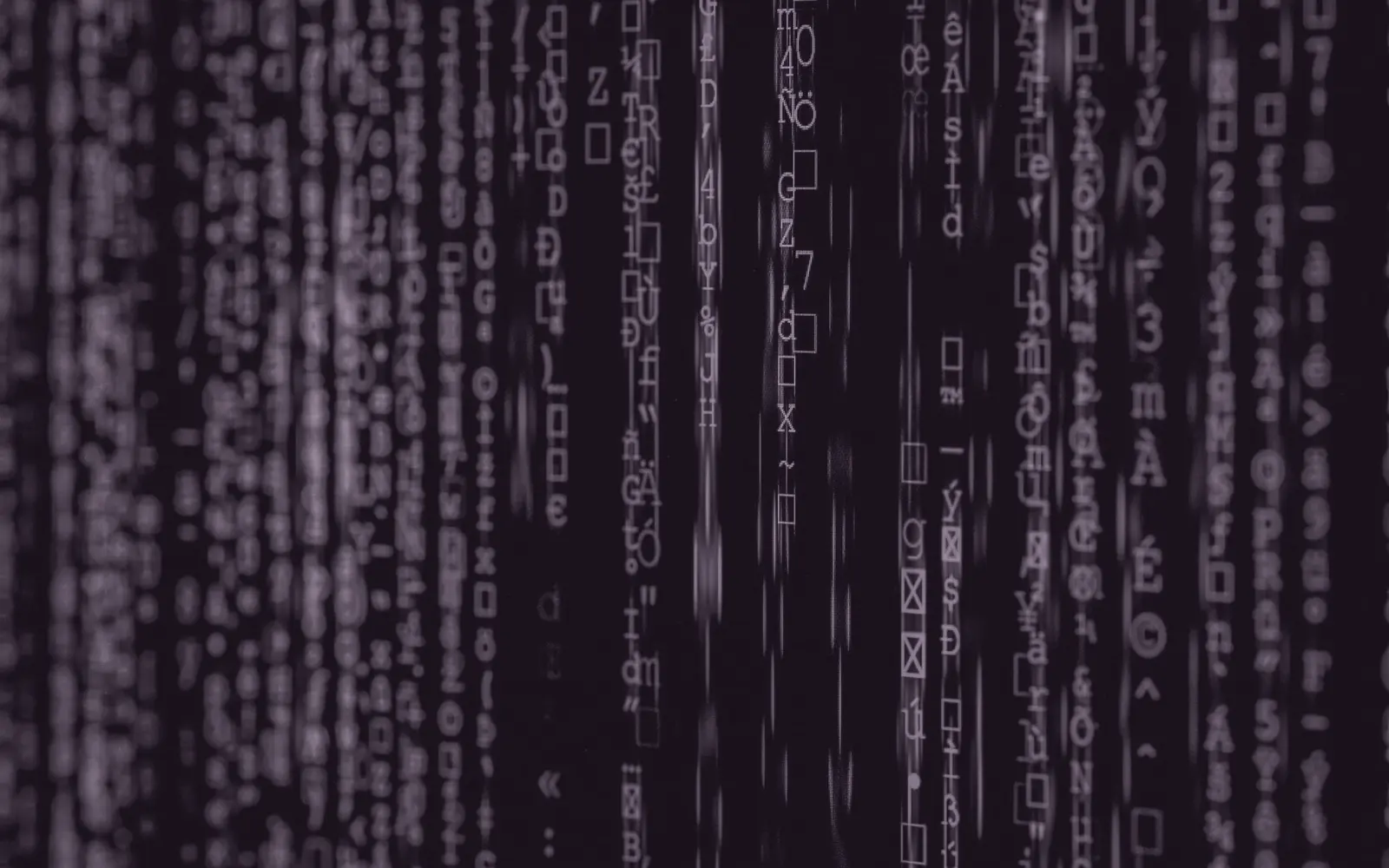 Columns of code on a dark screen