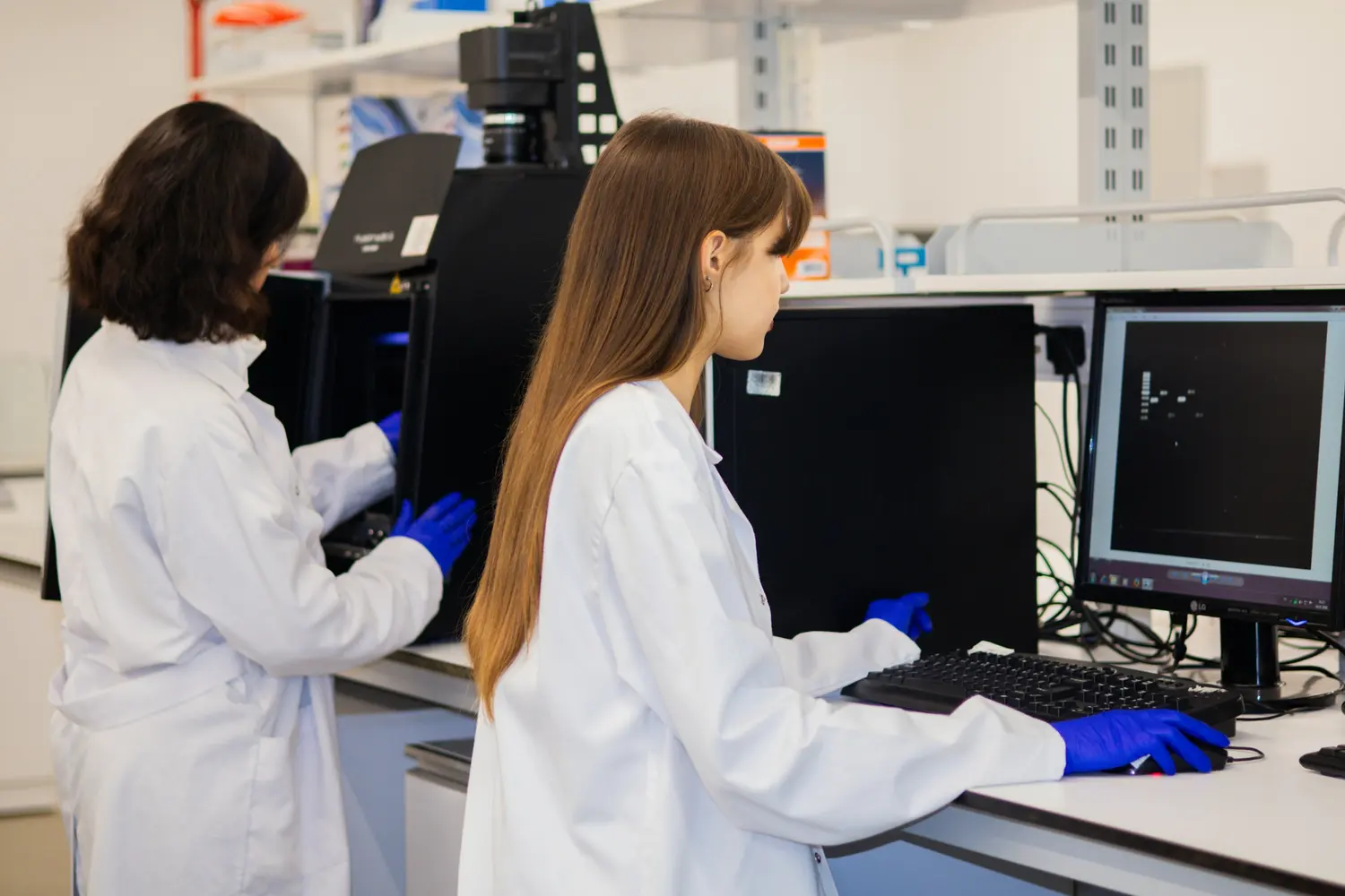 Two scientists working at laboratory workstations